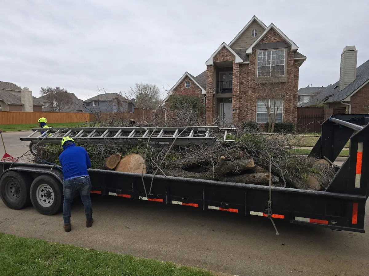 Expert Tree Fertilization with proper safety equipment in Katonah